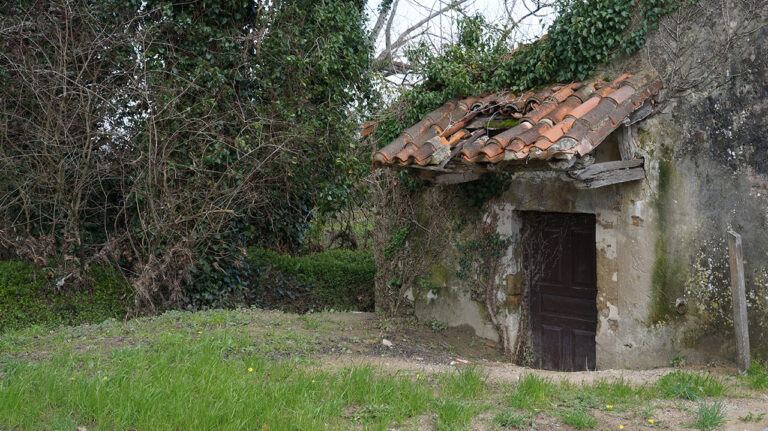 molino selorga