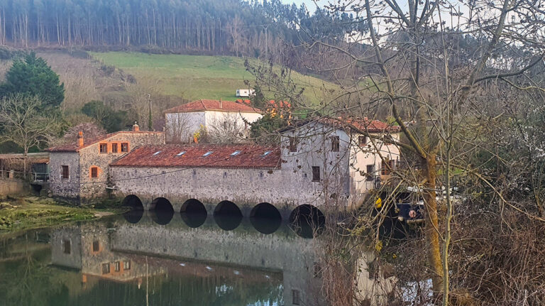 molino venera