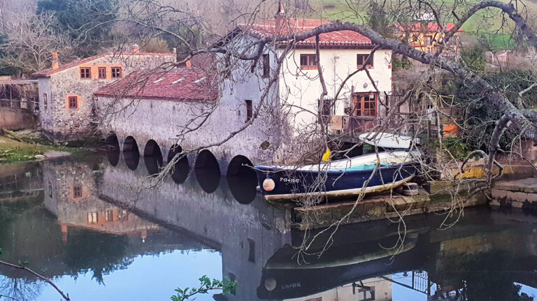 molino venera