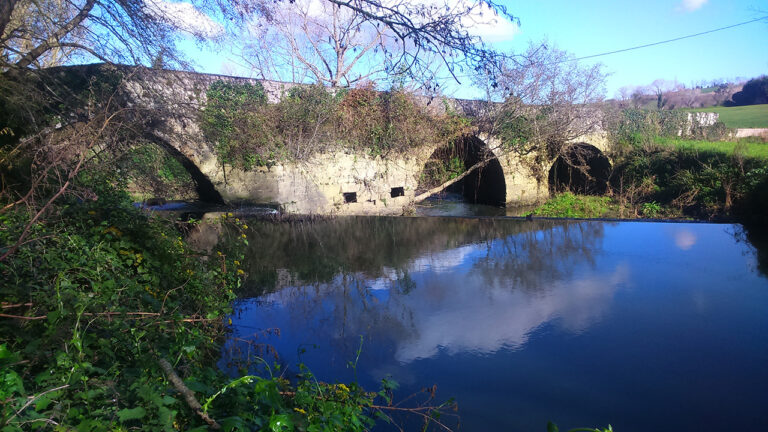 puente Selorga