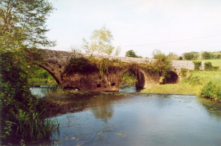 puente selorga