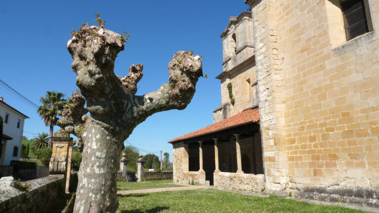 Iglesia de San Mamés