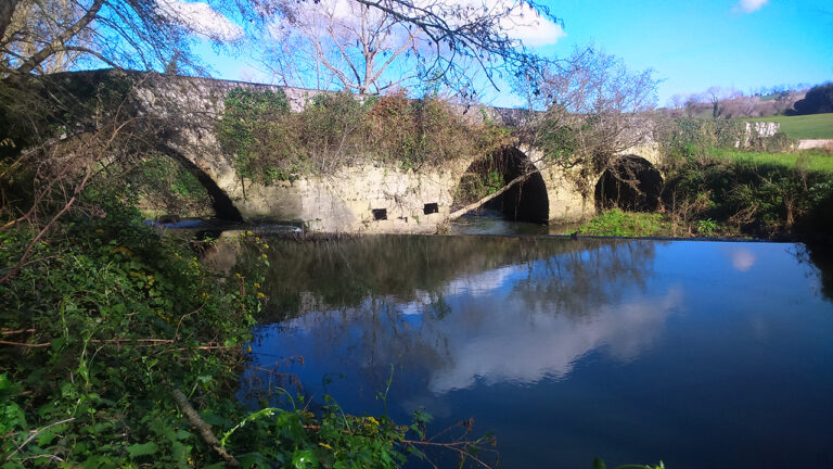 puente selorga